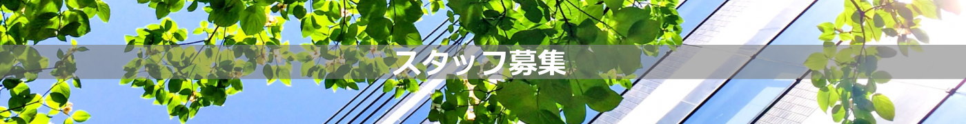 スタッフ募集