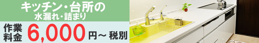 キッチン・台所の水漏れ・詰まり